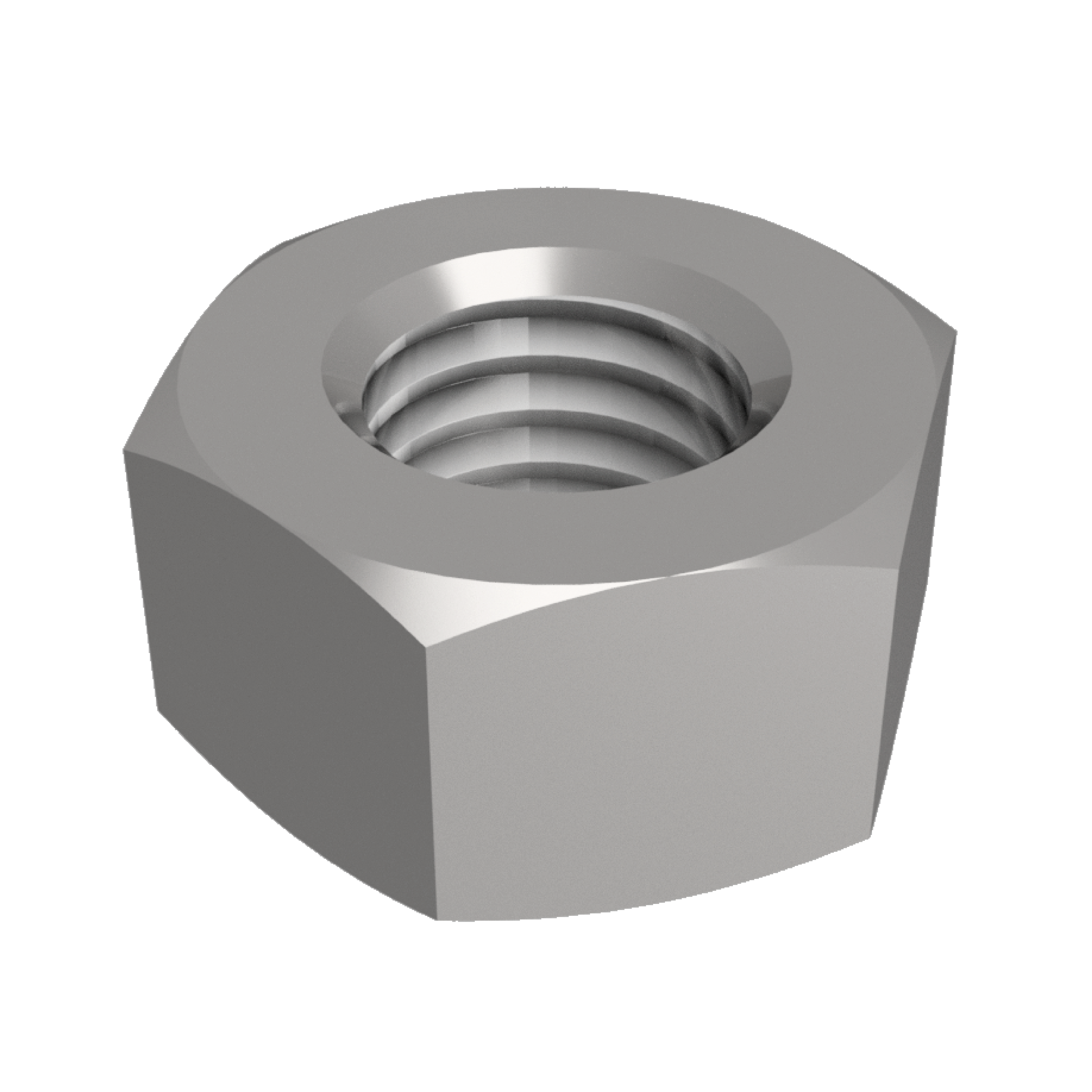 Hex Nut